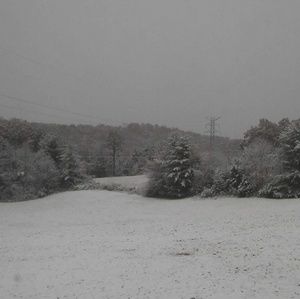 Meet your Posher, Kameron